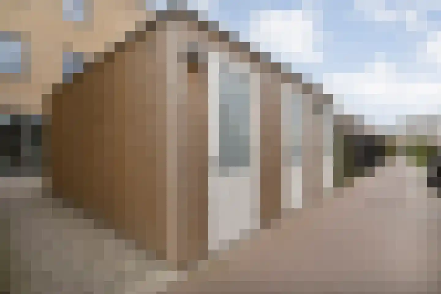 Boldenbergpad 128 Zwolle thumbnail 34