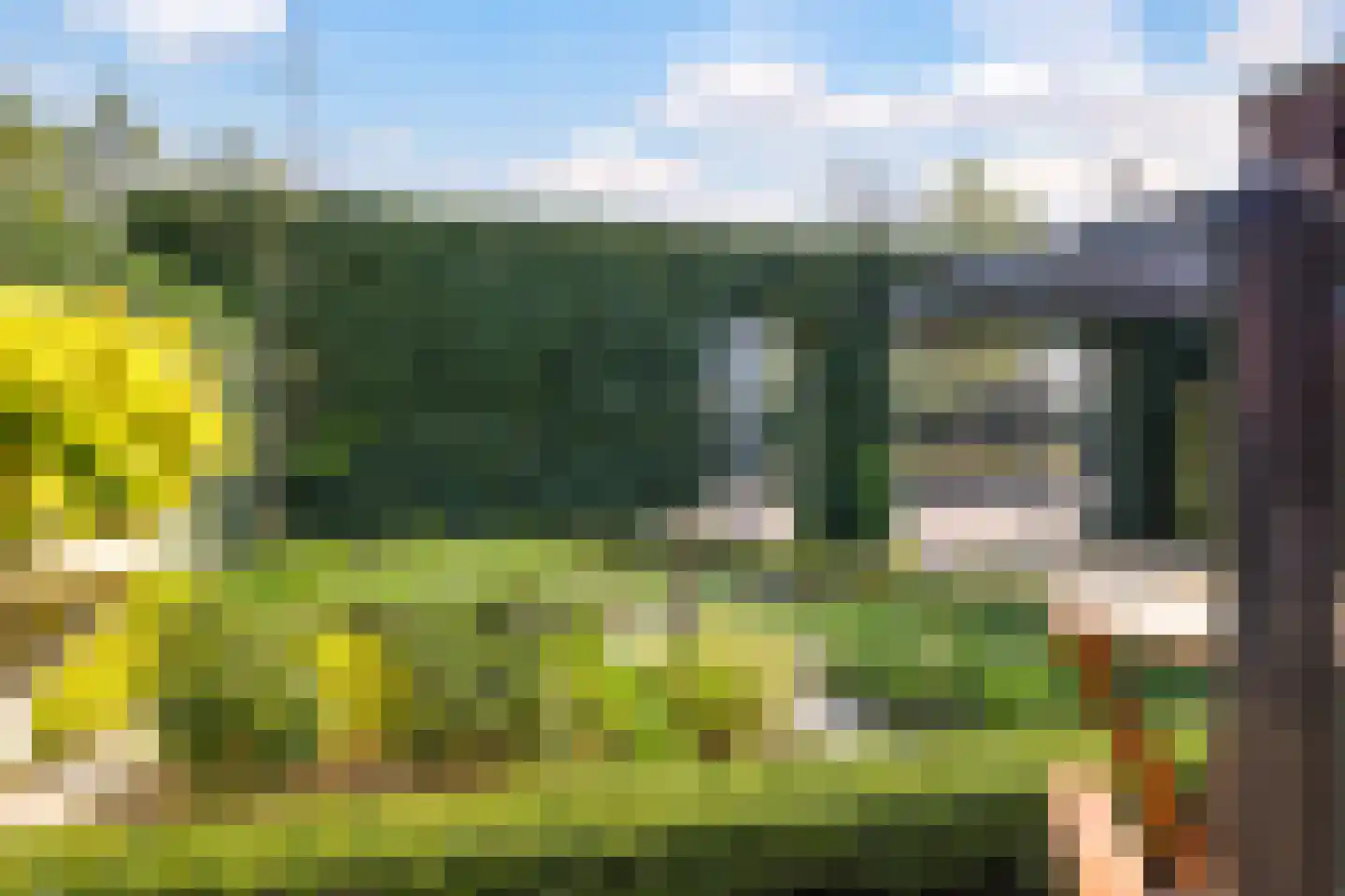 Bolder 2 Bemmel thumbnail 17