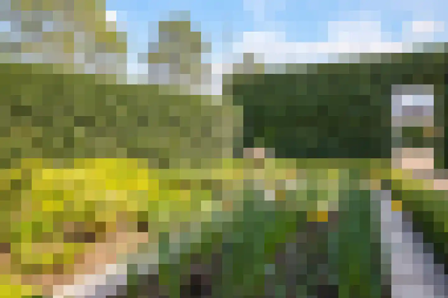 Bolder 2 Bemmel thumbnail 18