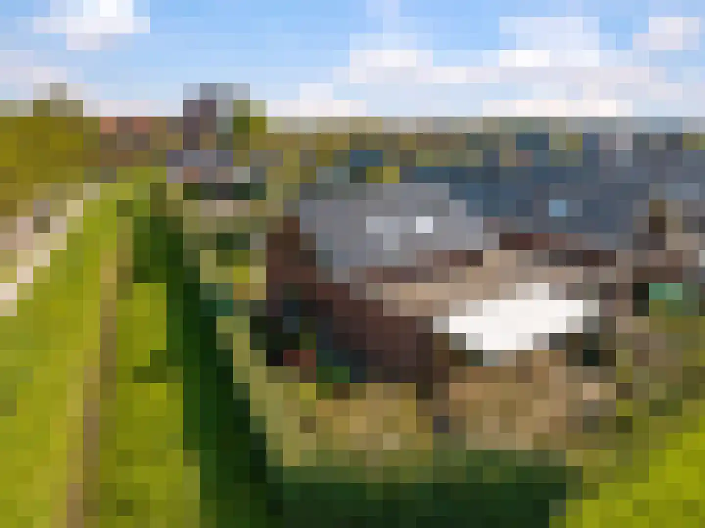 Bolder 2 Bemmel thumbnail 66