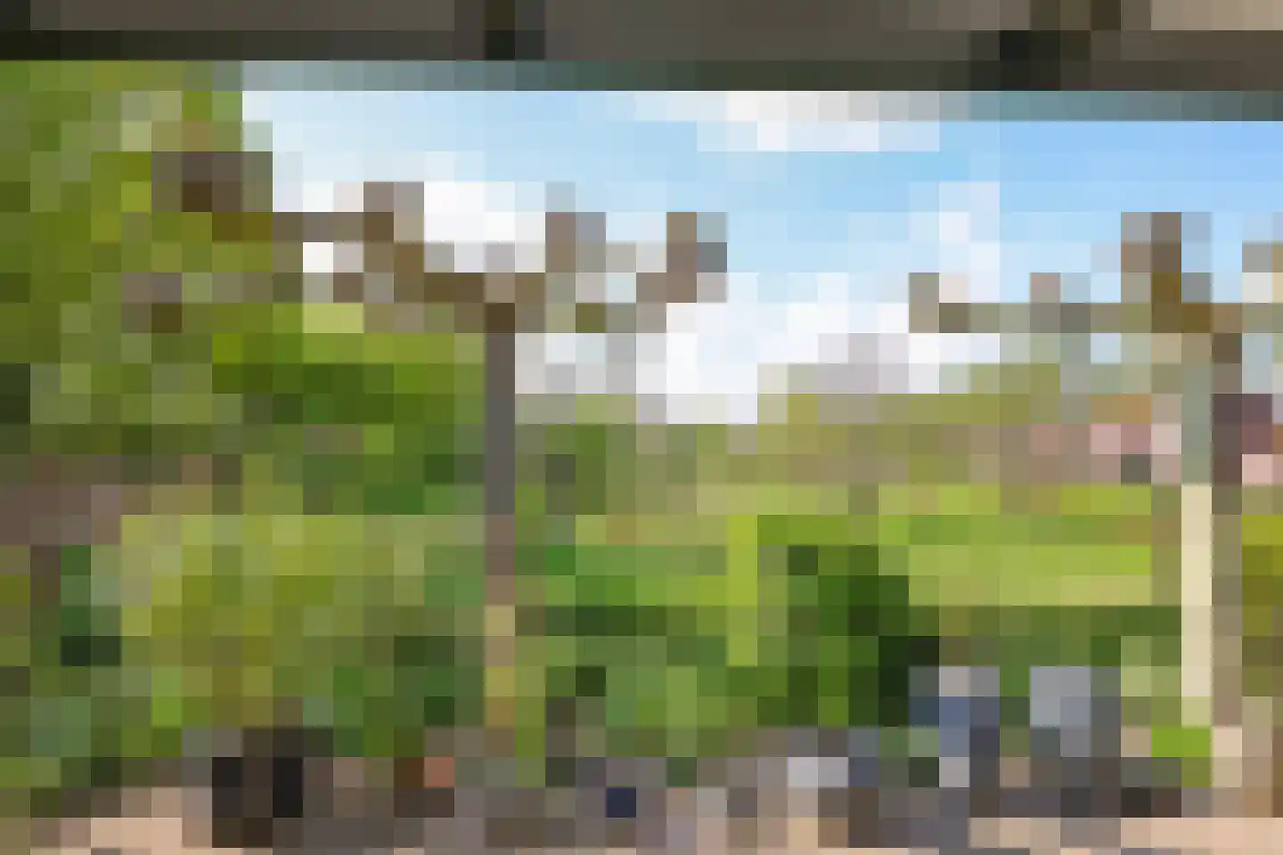 Bolder 2 Bemmel thumbnail 73
