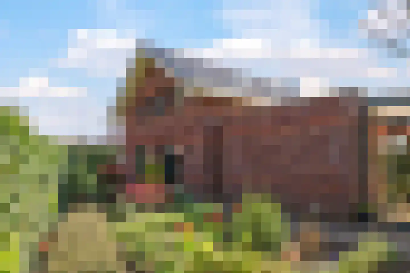 Bolder 2 Bemmel thumbnail 84