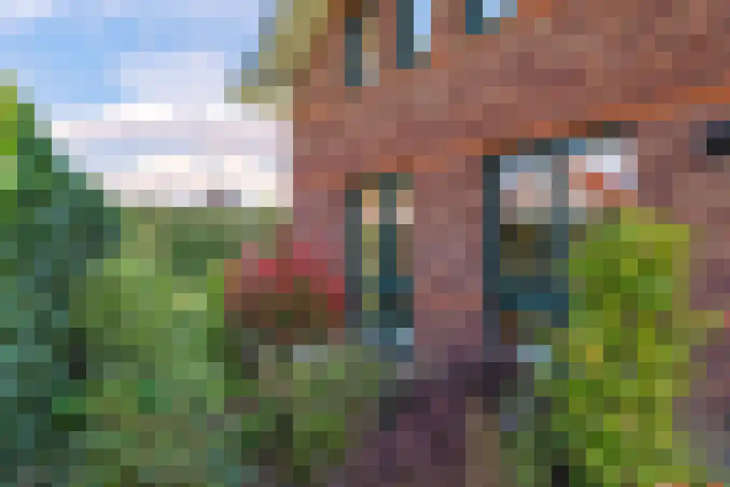 Bolder 2 Bemmel thumbnail 85