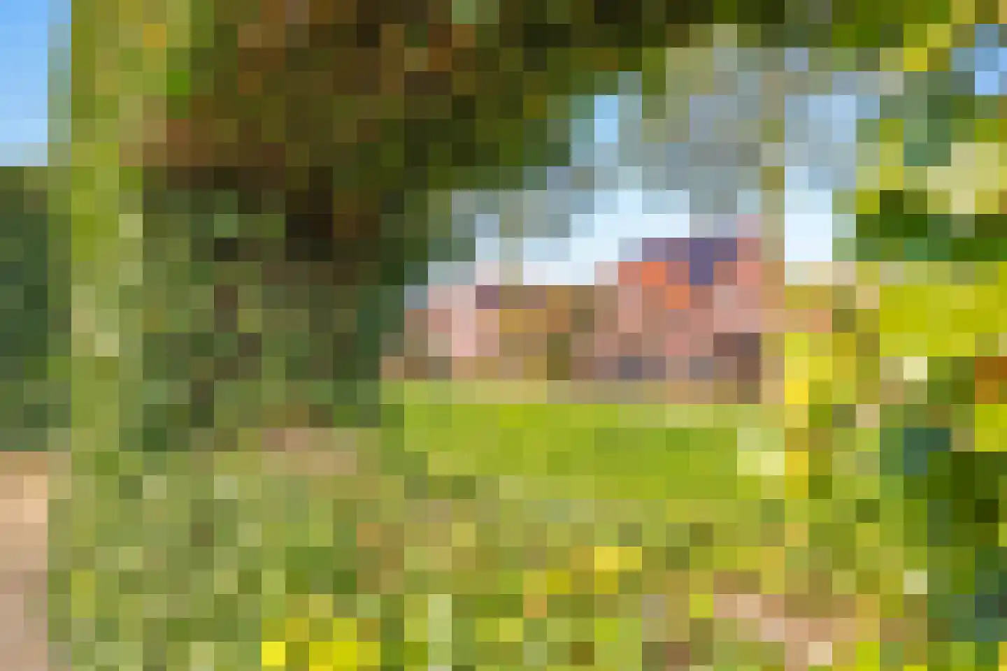 Bolder 2 Bemmel thumbnail 92