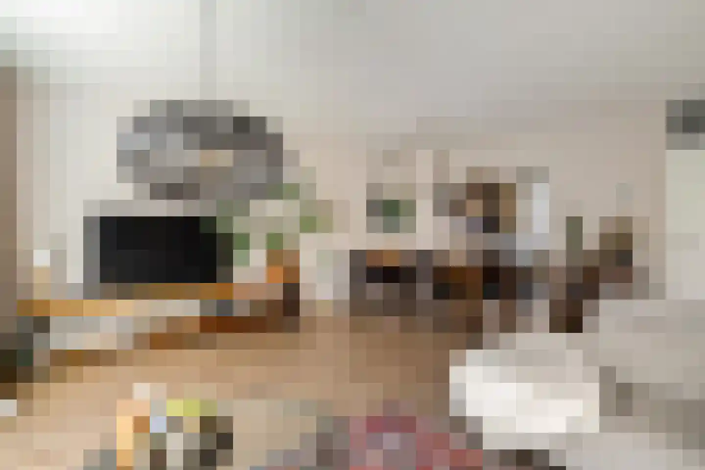 Bolder 25 Groningen thumbnail 10