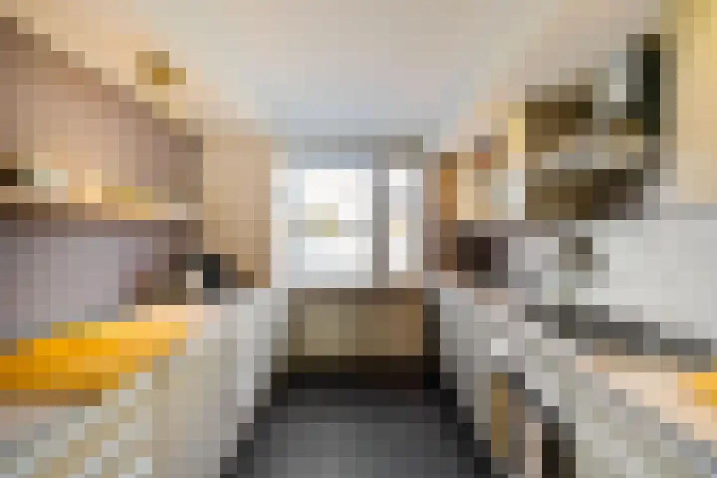 Bolder 25 Groningen thumbnail 12