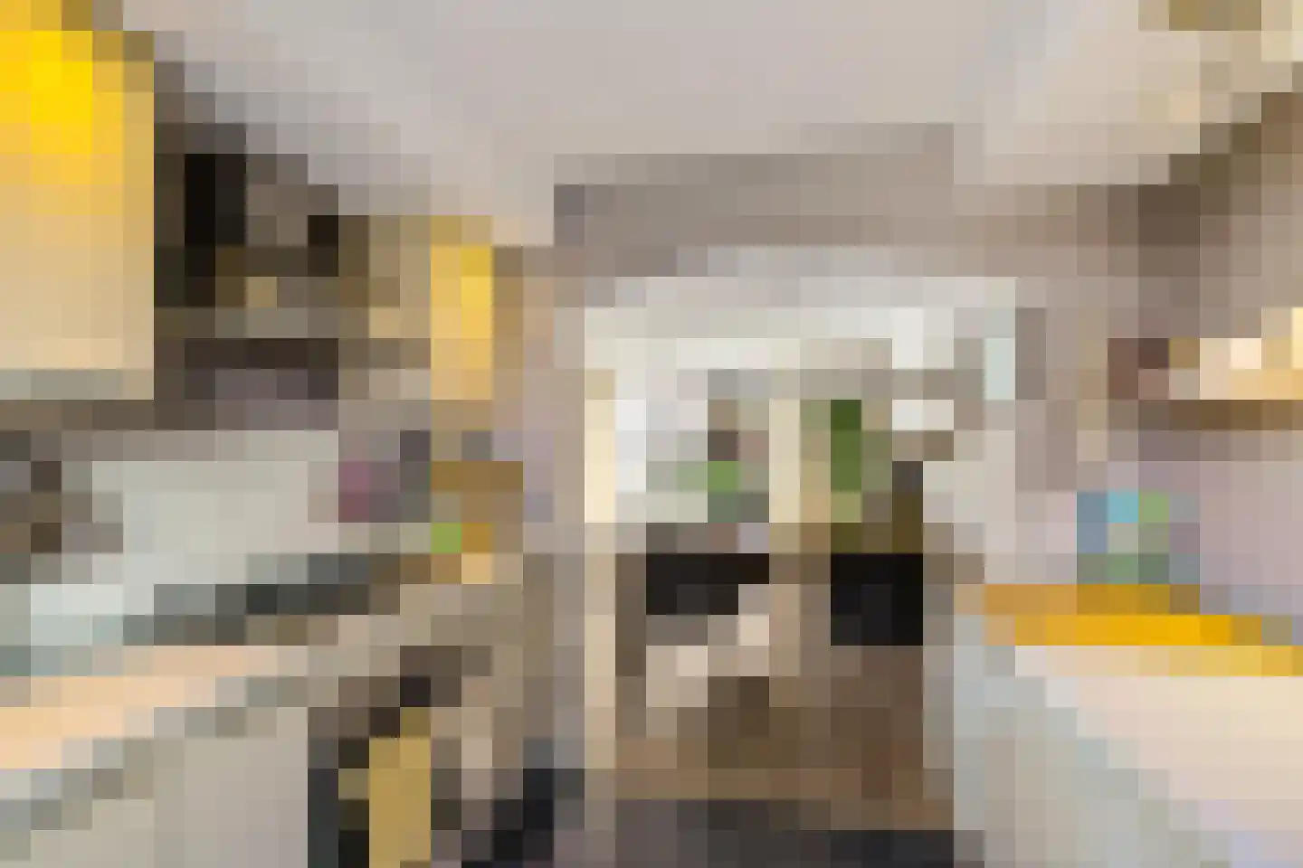 Bolder 25 Groningen thumbnail 14