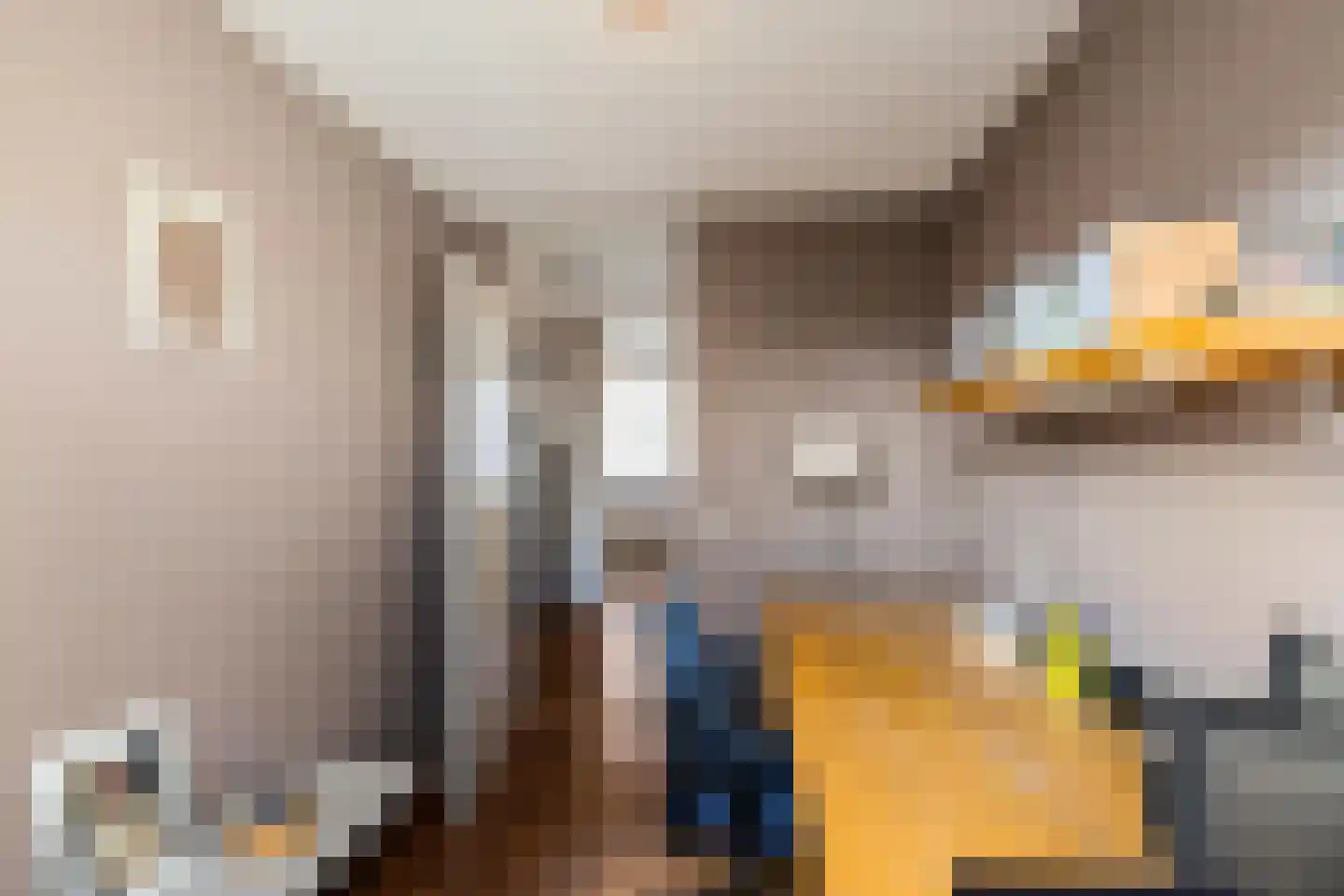Bolder 25 Groningen thumbnail 20