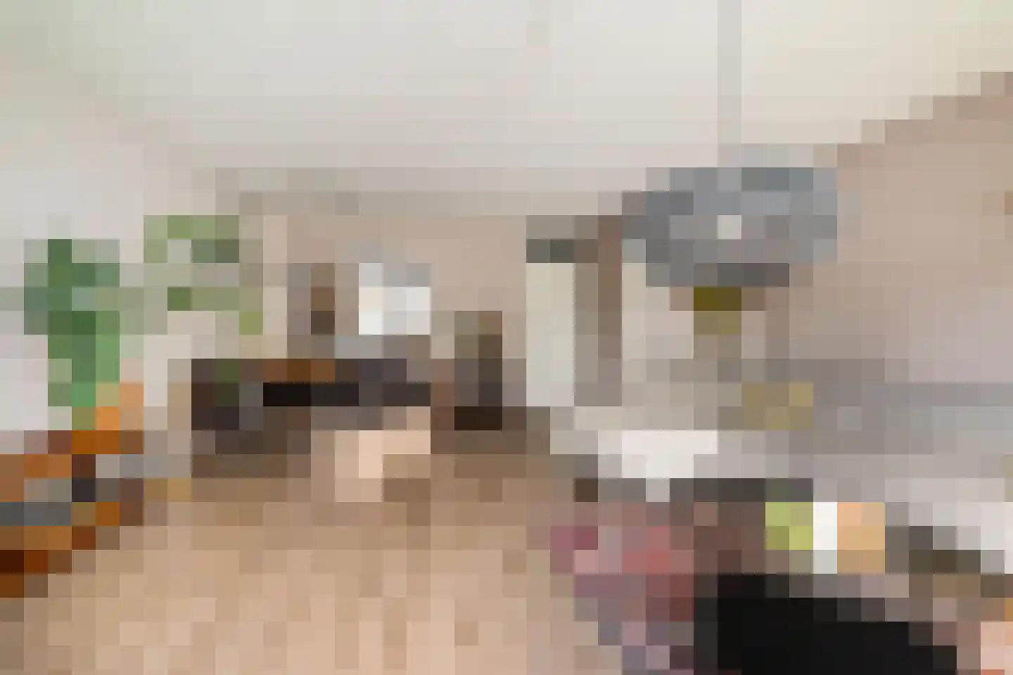 Bolder 25 Groningen thumbnail 7