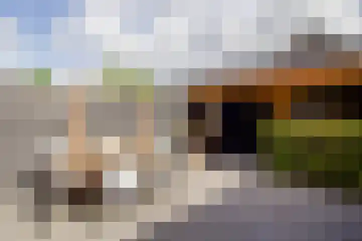 Bolder 6 Bunschoten-Spakenburg thumbnail 33
