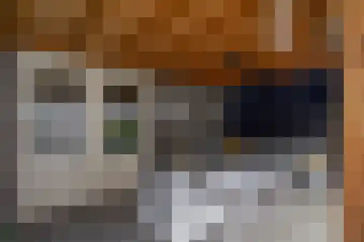 Bolder 6 Bunschoten-Spakenburg thumbnail 35