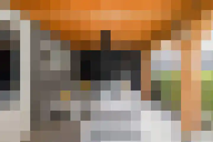 Bolder 6 Bunschoten-Spakenburg thumbnail 36