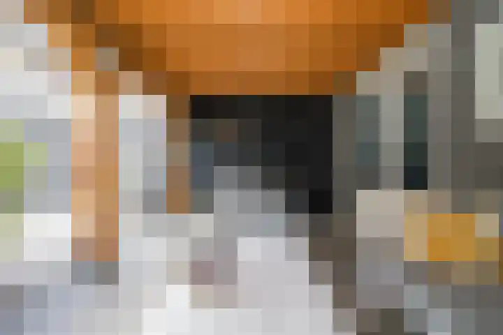 Bolder 6 Bunschoten-Spakenburg thumbnail 37