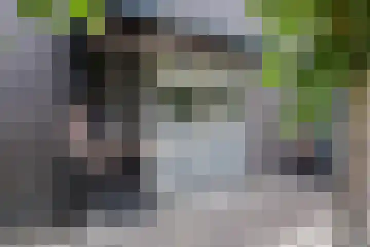 Bolder 6 Bunschoten-Spakenburg thumbnail 41