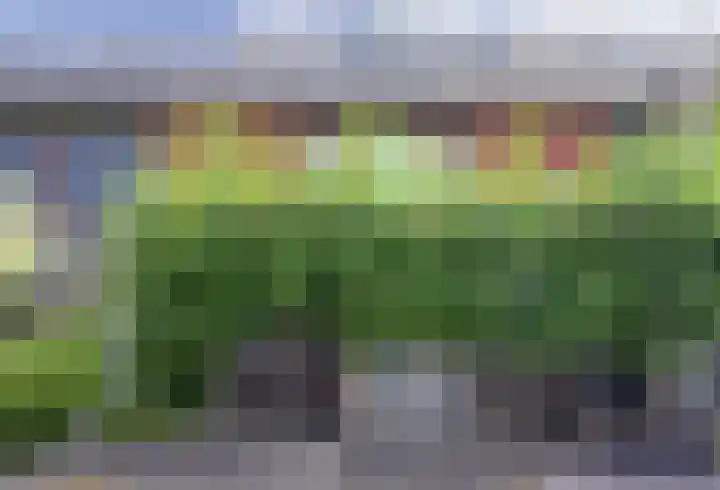 Bolder 6 Bunschoten-Spakenburg thumbnail 48