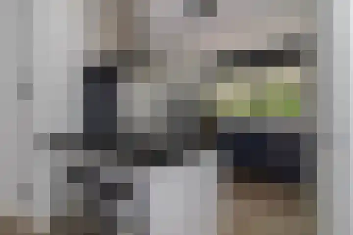 Bolder 6 Bunschoten-Spakenburg thumbnail 9