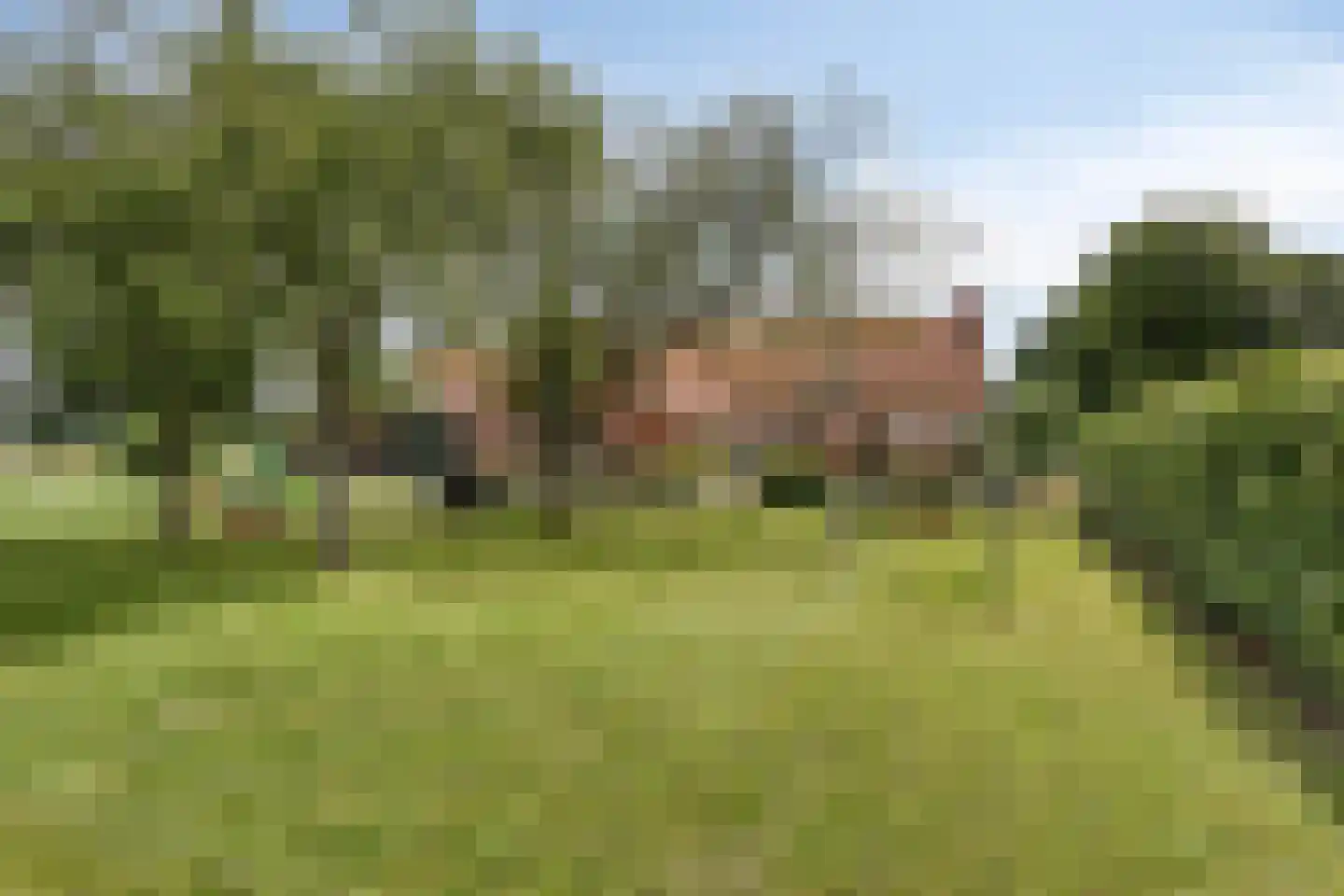 Bolder 7 Medemblik thumbnail 11
