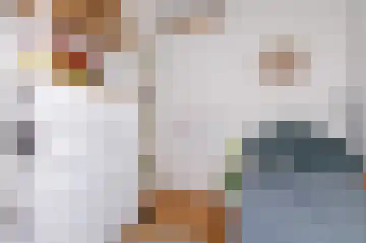 Bolder 7 Medemblik thumbnail 25