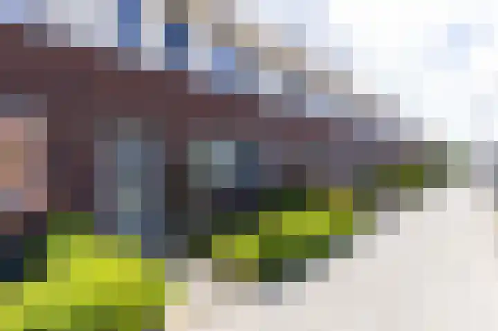 Bolder 7 Medemblik thumbnail 33