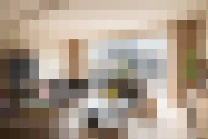 Bolder 9 Bunschoten-Spakenburg thumbnail 14