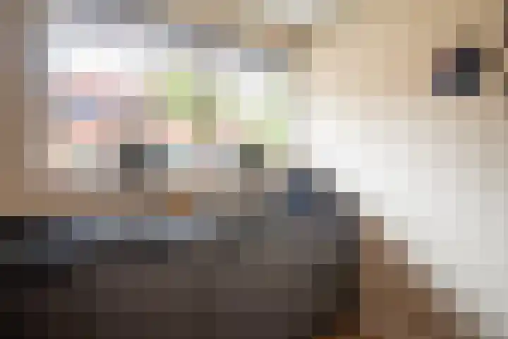 Bolder 9 Bunschoten-Spakenburg thumbnail 24