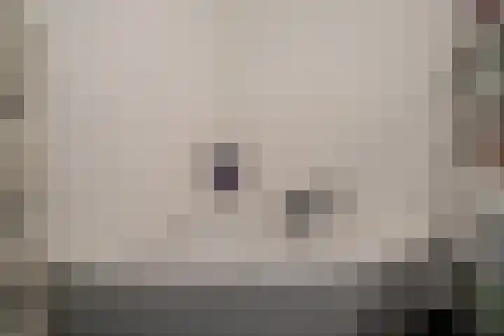 Bolder 9 Bunschoten-Spakenburg thumbnail 36