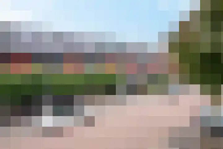 Bolder 9 Bunschoten-Spakenburg thumbnail 4