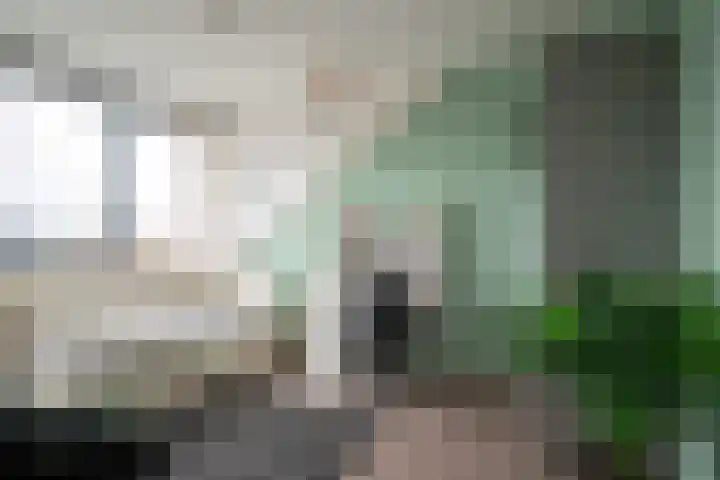 Bolder 9 Bunschoten-Spakenburg thumbnail 42