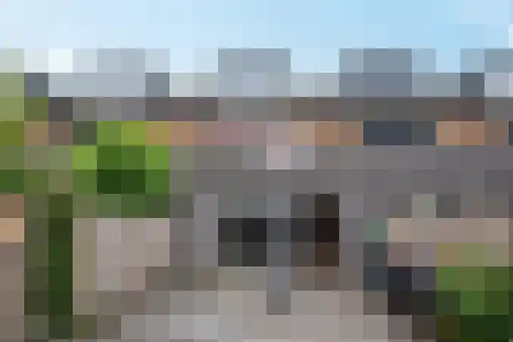 Bolder 9 Bunschoten-Spakenburg thumbnail 45