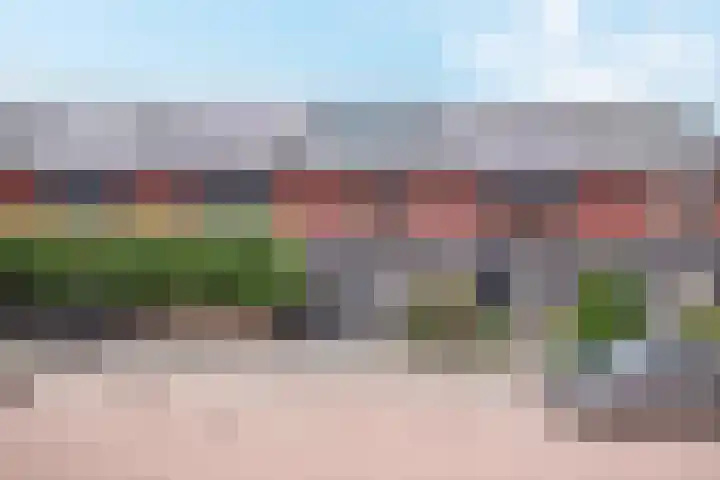Bolder 9 Bunschoten-Spakenburg thumbnail 5
