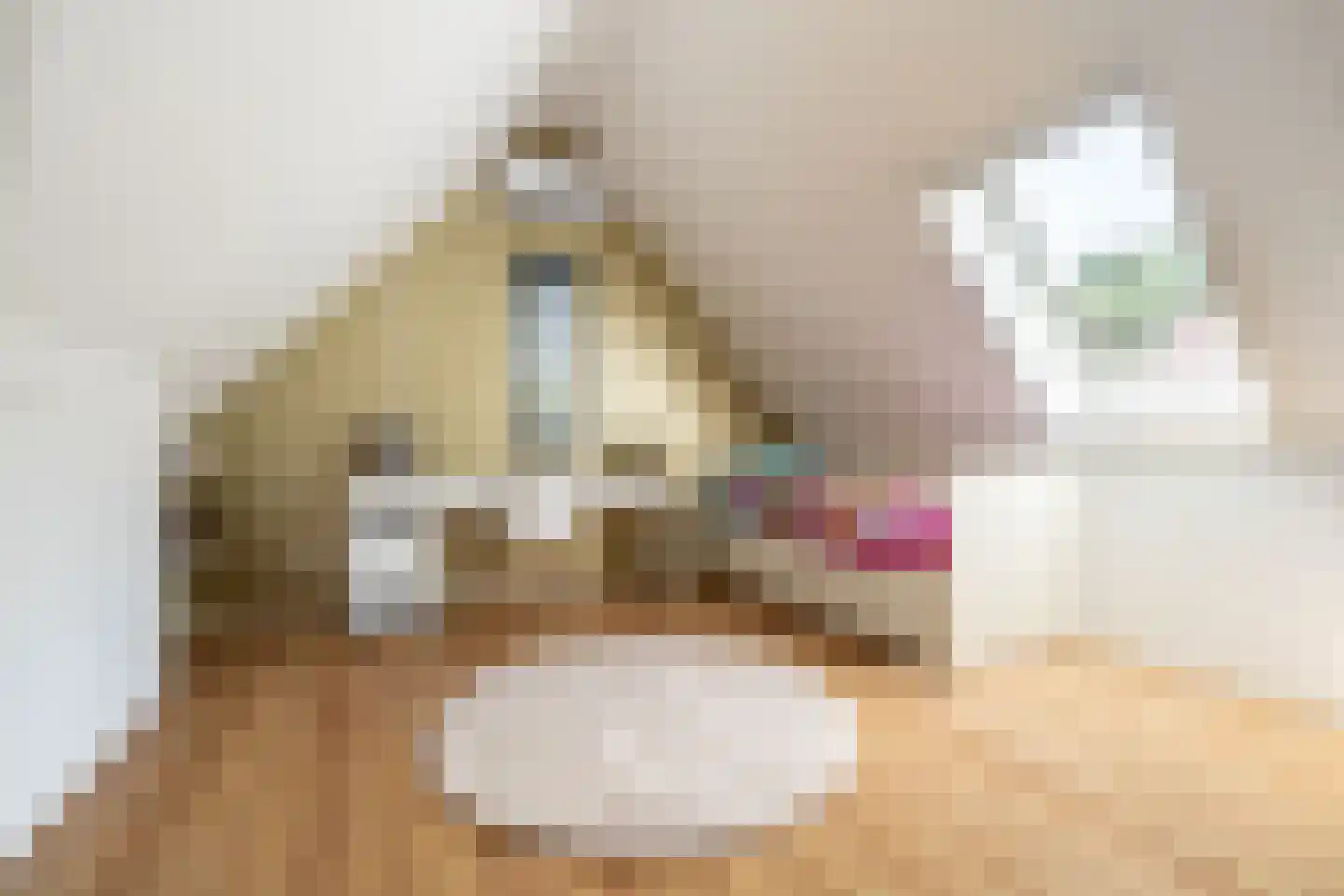 Bolderik 1 Galder thumbnail 32