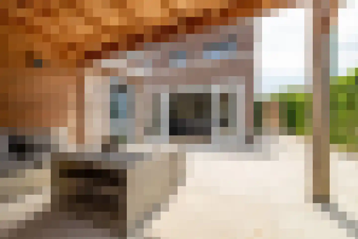 Bolderik 1 Galder thumbnail 36