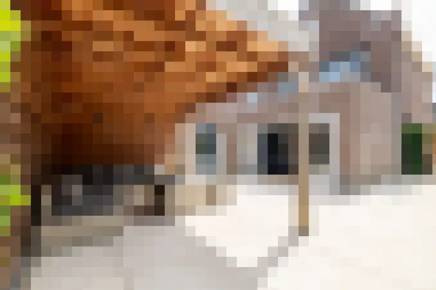 Bolderik 1 Galder thumbnail 37