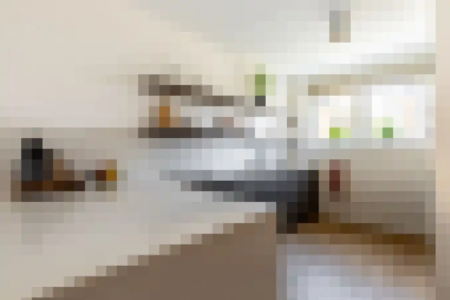 Bolderik 16 Oudenhoorn thumbnail 16