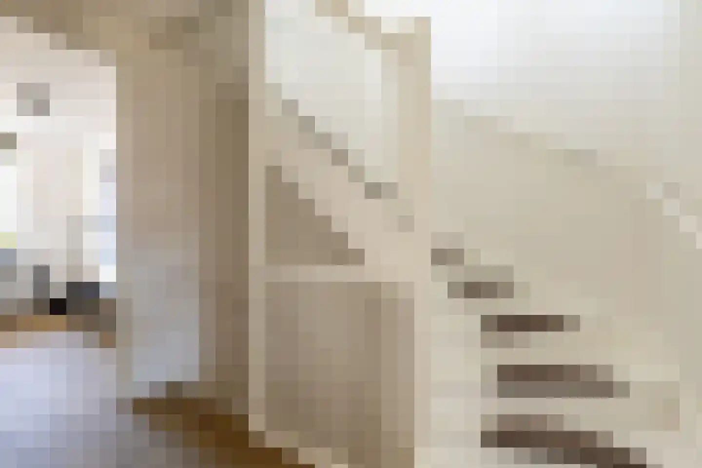 Bolderik 16 Oudenhoorn thumbnail 20