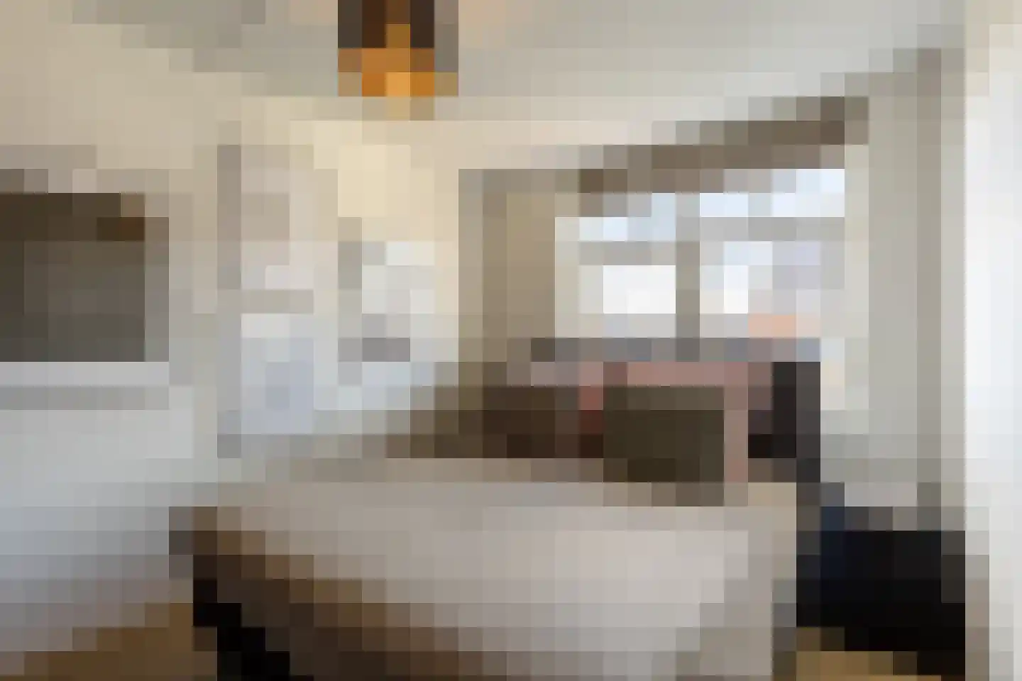 Bolderik 16 Oudenhoorn thumbnail 22