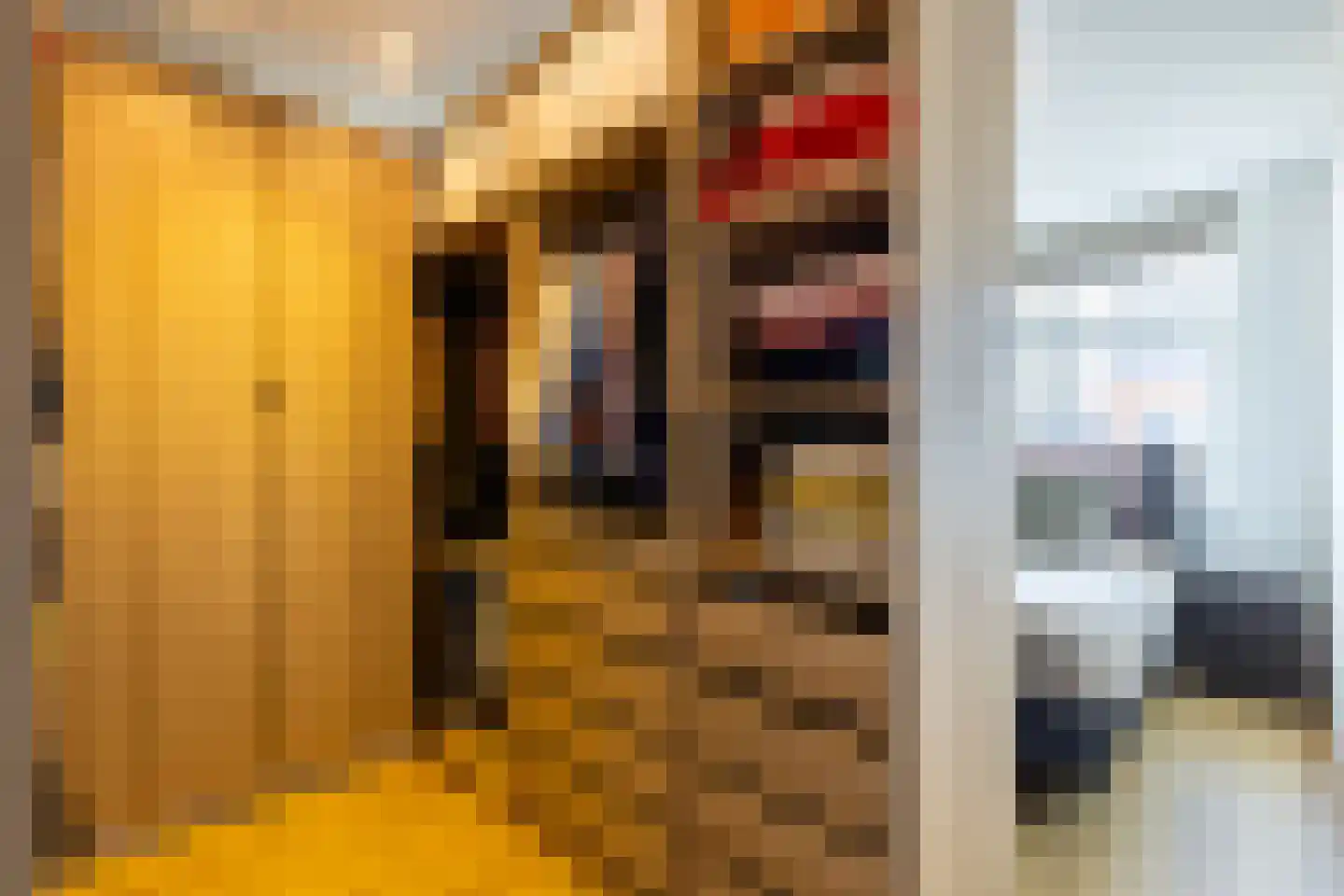 Bolderik 16 Oudenhoorn thumbnail 23