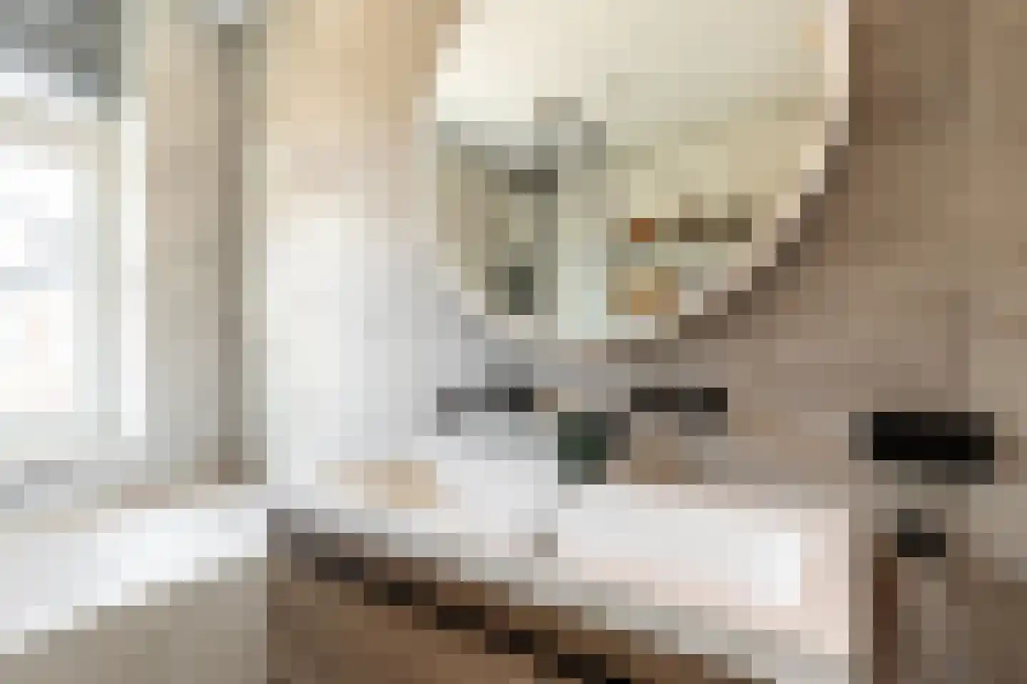 Bolderik 16 Oudenhoorn thumbnail 25