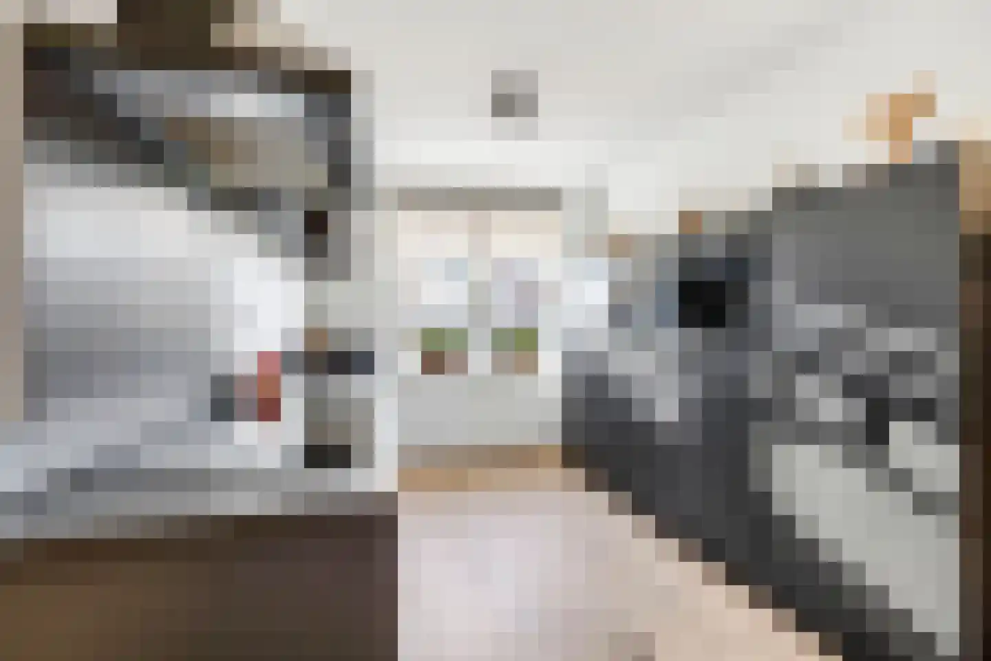 Bolderik 18 Oudenhoorn thumbnail 18