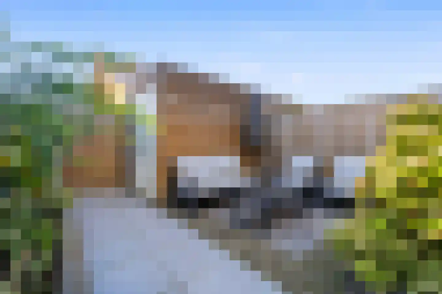 Bolderik 18 Oudenhoorn thumbnail 25