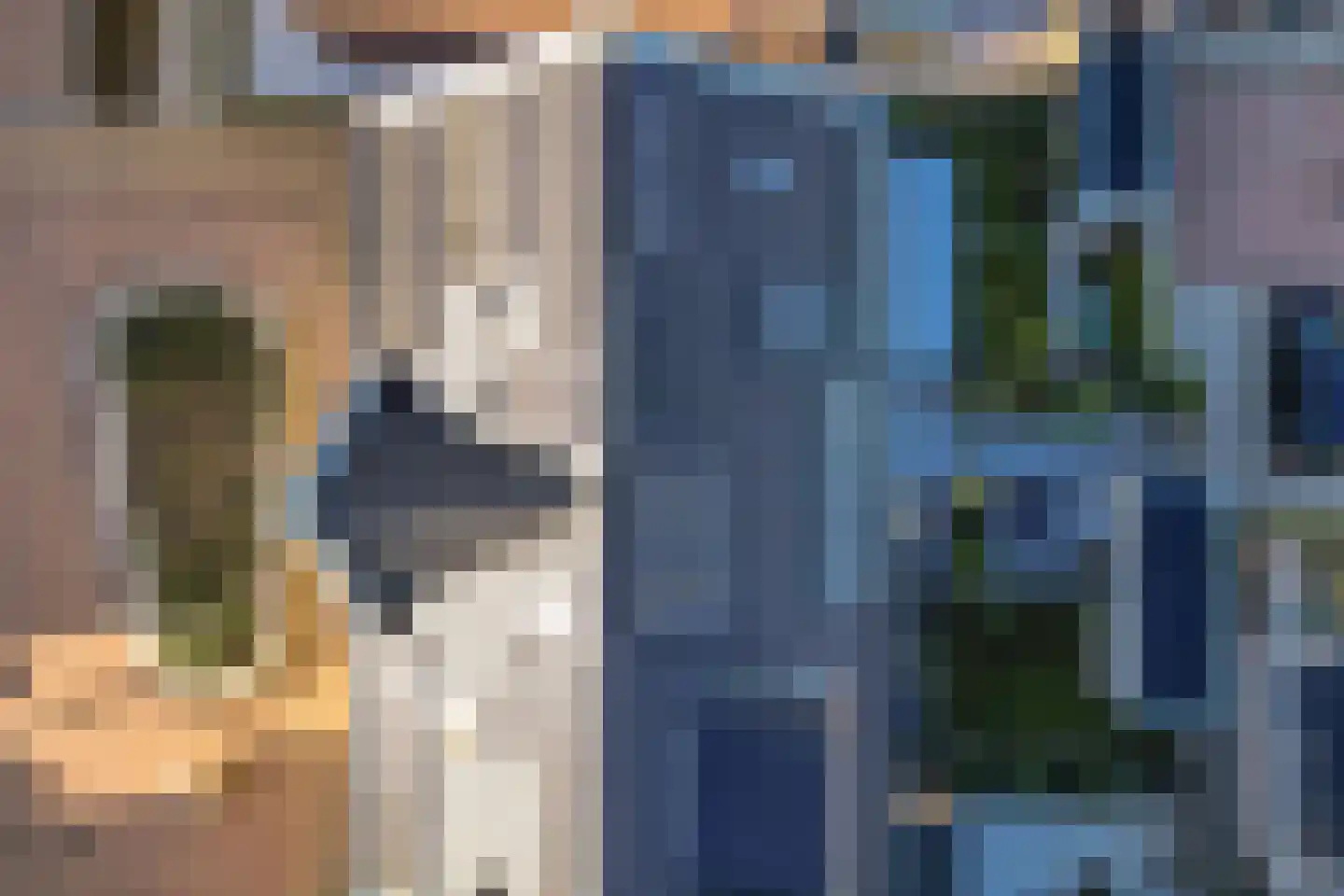 Bolderik 18 Oudenhoorn thumbnail 28