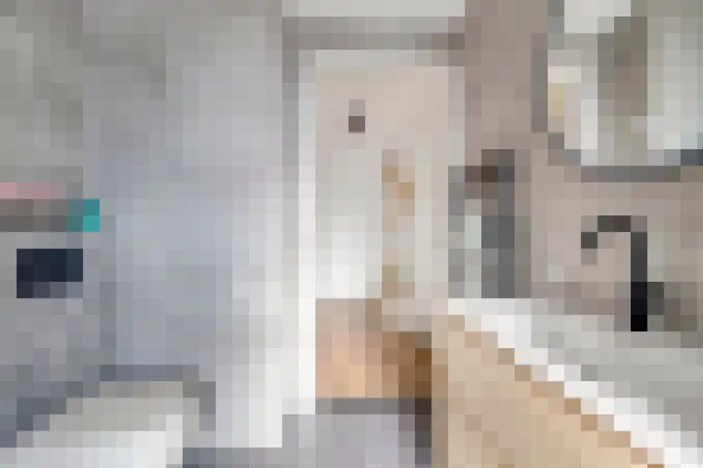 Bolderik 18 Oudenhoorn thumbnail 30