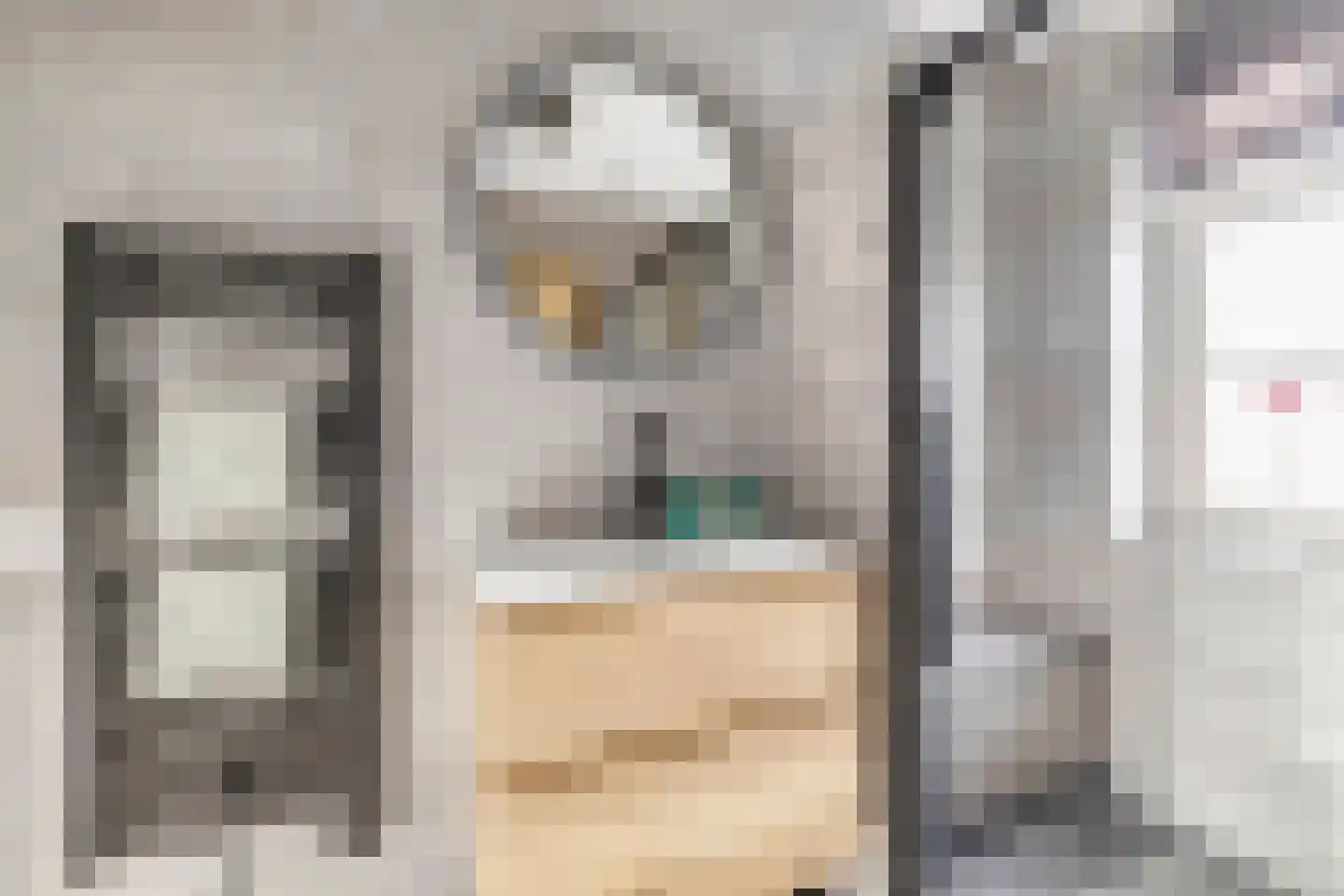 Bolderik 18 Oudenhoorn thumbnail 32