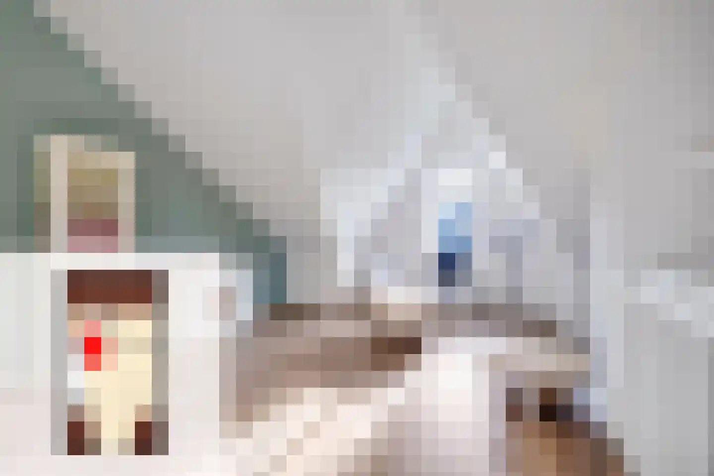 Bolderik 18 Oudenhoorn thumbnail 41