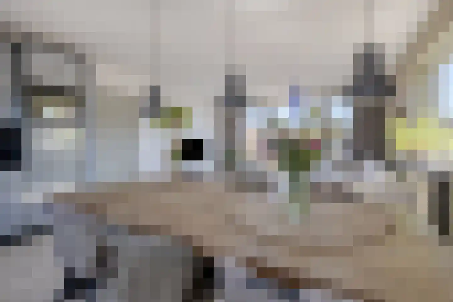 Bolderik 2 Terheijden thumbnail 21