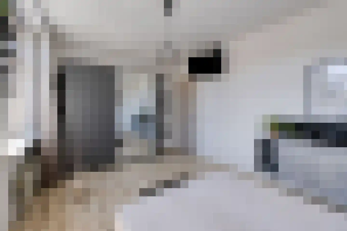 Bolderik 2 Terheijden thumbnail 30