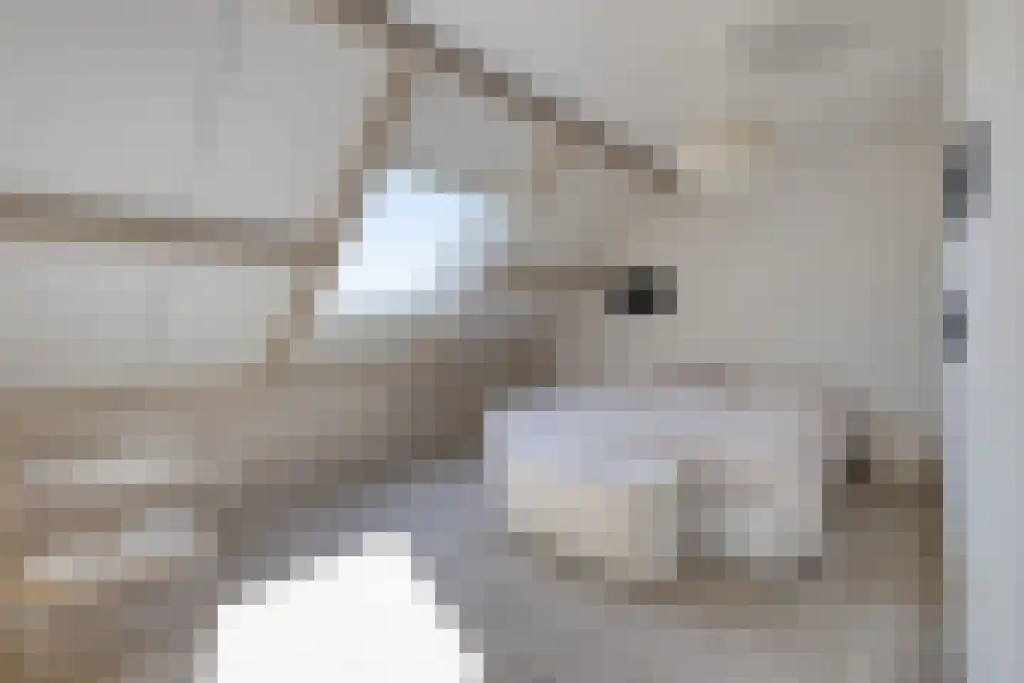 Bolderik 2 Terheijden thumbnail 37