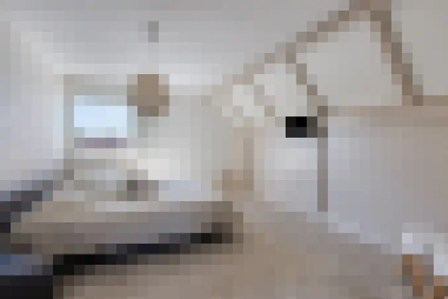 Bolderik 2 Terheijden thumbnail 39
