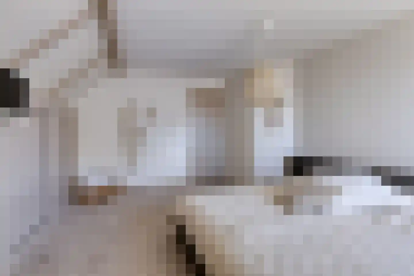 Bolderik 2 Terheijden thumbnail 40