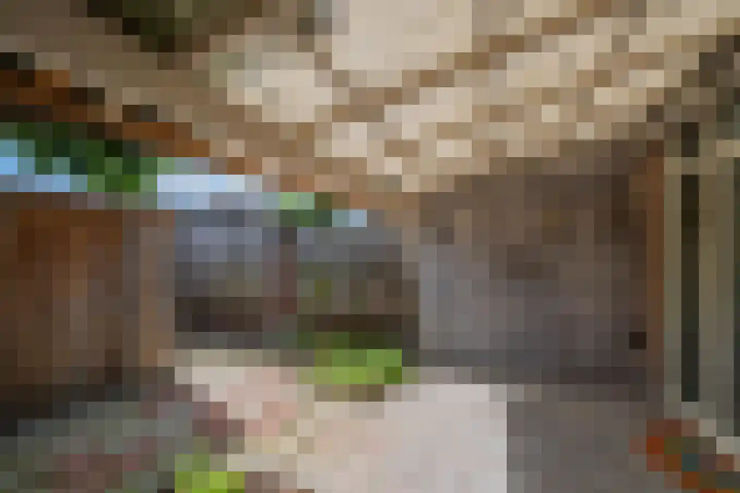 Bolderik 2 Venray thumbnail 25